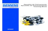 Apostila de Treinamento Apostilla de Entrenamiento ... · PDF fileEste manual refere-se aos motores MWM ... relacionados ao motor, rápida e eficiente. A MWM INTERNATIONAL Motores