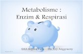Metabolisme : Enzim & Respirasi - pendidikankarakter.orgpendidikankarakter.org/biosciencelearning/Materi/Kelas_XII... · Anabolisme : proses pembentukan senyawa sederhana senyawa