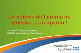 La culture de l'aronia au Québec un aperçu! -   · PDF fileLa culture de l’aronia au Québec un aperçu ! Par André Gagnon, agronome MAPAQ Saguenay-Lac-Saint-Jean