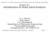 Module for Introduction to Shaly Sand  · PDF fileOccurrence of Shale/Clay: Laminated Shale ... Introduction to Shaly Sand Analysis ... SPE Monograph — Well Logging I,
