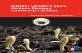 Rijetke i ugrožene gljive Kantona Sarajevo (prevencija i ... ene... · PDF fileZahtjeva mračna i skrovita mjesta, uvijek zaklonjena od sunčevih zraka. Karakteristični detalji: