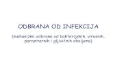 ODBRANA OD INFEKCIJA - Почетнаmfub.bg.ac.rs/dotAsset/38566.pdf · Mehanizmi odbrane protiv intracelularnih bakterija - ubijanje inficiranih ćelija (ako je bakterija u citoplazmi)