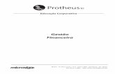 Gestão Financeira - ERP Protheus · PDF fileTodos os direitos reservados. Gestão Financeira 3 Este curso foi elaborado para capacitar os usuários do Protheus a utilizarem os recursos