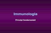 Principi fondamentali - docenti.unicam.itdocenti.unicam.it/tmp/6413.pdf · Tipi di difese immunitarie ... – Riconoscimento e risposte a singoli microbi ... – Stimolano le risposte