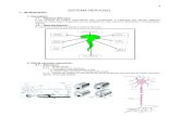 SISTEMA NERVOSO - Professor Fláudio · PDF file2 2.2 – Evolução e função dos três neurônios fundamentais: 2.2.1 – Neurônio sensitivo: traz informações ao sistema nervoso