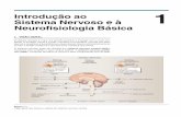 Introdução ao Sistema Nervoso e à 1 Neurofisiologia Bá · PDF fileI. VISÃO GERAL O sistema nervoso é o que nos permite perceber e interagir com o nosso am-biente. O encéfalo