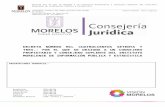 DecDesignaConsjImipeEdoMor - Consejeria Jurídicamarcojuridico.morelos.gob.mx/.../word/DCONIMIPEMO.d…  · Web viewse establecerán sistemas ... mercantil, laboral, penal; en derecho