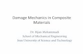 Damage Mechanics in Composite Materials - iust.ac.ir · PDF fileConcept of Continuum Damage Mechanics ... definition of thermodynamic potentials. State laws in the framework of irreversible