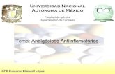 Universidad Nacional Autónoma de México - Farmacologíanavarrete.fq-unam.org/docs/AINES.pdf · En general la categoría de los Antiinflamatorios no esteroideos (AINES) es un grupo