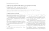 Regulacija napetosti in frekvence asinhronskega ...ev.fe.uni-lj.si/1-2002/memisevic.pdf · Regulacija napetosti in frekvence asinhronskega generatorja v avtonomnem omreˇzju 21 spremembo