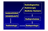Radiodiagnostica Radioterapia Medicina Nucleare … Didattico/Radioterapia/Radiobiologia... · Radiobiologia Radiopatologia. Radiazioni ionizzanti (RI) Possiedono energia sufficiente