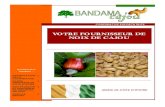 VOTRE FOURNISSEUR DE NOIX DE CAJOU - · PDF filevotre fournisseur de noix de cajou cooperative exportatrice contenu de la brochure : presentation de la cooperative 2 filiere anacarde