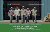LINEA DE AYUDA PARA INTOXICACIONES Y …thesafetyofyourfamily.com/training/DPR_Facilitator_Manual_SP.pdf · Manual de Capacitación ... MÓDULO 1 Hablando sobre los Pesticidas en