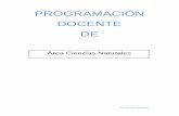 PROGRAMACIÓN DOCENTE DE - …files.reyescatolicos.edu.co/Programacion Docentes 2016-17/Primaria... · diferencias entre las personas, la igualdad de derechos y oportunidades de hombres