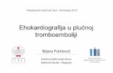 Ehokardiografija u plućnoj tromboembolijisoko-banja.rs/dokumenta/Ehokardiografija u plucnoj tromboemboliji.pdf · Patofiziologija akutne plućne embolije Doppler i 2D Eho. Stratifikacija
