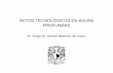 07 Retos Tecnológicos en aguas profundas - · PDF fileIngeniería de yacimientos Sedimentología Geología estructural Ingeniería de producción Ingeniería de control Ingeniería