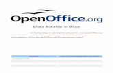 Erste Schritte in Draw - Apache OpenOffice · PDF fileAuf der nächsten Seite geben Sie dann die Seiteninformation ein wie z.B: E-Mail-Adresse, Name, Homepage, Titel, Infos. Als nächstes