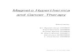 Magneto Hyperthermia and Cancer Therapy - :: DST Unit of ... · PDF fileMagneto Hyperthermia and Cancer Therapy Figure1. Hysteresis cycle of a multidomain magnetic material (H is the