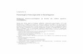 Patologia Chirurgicală a Esofagului - Seria 7seria7.weebly.com/uploads/4/0/8/5/4085189/patologia_esofagului.pdf · - regiunea esofagului inferior, de unde esofagul toracic se detaşează