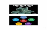 TRANSPOR PADA TUMBUHAN - · PDF filetranspor pada tumbuhan by : i gede sudirgayasa transpor pada tumbuhan transpor tingkat sel transpor tingkat jaringan dan organ transpor getah xilem