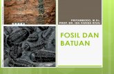FOSIL DAN BATUAN - Staff Official Site Unilastaff.unila.ac.id/priyambodo/files/2016/12/12.-Fosil-dan-Batuan.pdf · Jejak, lubang atau sarang . MACAM FOSIL Berdasarkan Proses pembentukannya