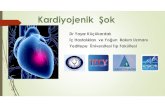Dr Yaşar Küçükardalı - · PDF filekayıplar (ileus, crush injuri, pankreatit, siroz) ... Obstruktif Pulmoner vasküler Mekanik Pulmoner emboli Tansiyon pnomotoraks Pulmoner hipertansiyon