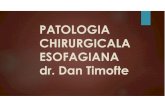 PATOLOGIA CHIRURGICALA ESOFAGIANA dr. Dan · PDF fileDiverticululZencker > 60 ani, M Localizare - pereteleposterior faringian, la limitacu esofagul, sub constrictorulfaringelui, deasupra