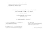 ASSAINISSEMENT PLUVIAL URBAIN ENAFRIQUE DE …horizon.documentation.ird.fr/exl-doc/pleins_textes/doc34-07/31424.pdf · Comité Interafricain d'EtudesHydrauliques B.P.369 Ouagadougou