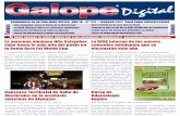 La RFHE informa de los nuevos - a · PDF filePlazo de presentación de obras, hasta el 16 de marzo El Real Club de Enganches de Andalucía ... a lomos de Kola de Tanus, hizo un tiempo