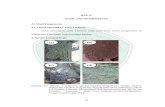 (a) (b) - etheses.uin-malang.ac.idetheses.uin-malang.ac.id/892/8/08620005 Bab 4.pdf · Talus Lichenes Lichenes pada pada ... batu, lumut, kayu, kulit kayu, dan tumbuh berlebihan lumut