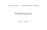 Biology 4361 – Developmental Biologypschoff/documents/Fertilization.pdf · that digest jelly layer ...  allows Ca 2+ into sperm ... is picked up by the oviduct fimbriae ...