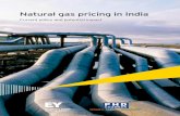 Natural gas pricing in India - EY · PDF fileNatural gas pricing in India Current policy and potential impact 3 Current scenario in India’s natural gas market Chapter 1 India’s