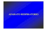 APARATO RESPIRATORIO - agro.uba.ar APARATO RESPIRATORIO.pdf · CLASIFICACIÓN ¾Tracto respiratorio superior: órganos que se alojan fuera de la cabidad torácica-Naríz-Faringe -