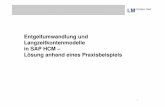 Langzeitkonten SAP HCM - LM  · PDF fileEntgeltumwandlung und Langzeitkontenmodelle in SAP HCM – Lösung anhand eines Praxisbeispiels 10.05.2013   1