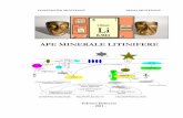 APE MINERALE LITINIFERE - bioclima.ro minerale litinifere.pdf · Maniaco-depresia şi semnalizarea ...