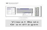Visual Basic Grundlagen - Weiterbildung · PDF file4 12 grundlagen der programmierung.....41 12.1 konventionen fÜr ein visual basic - p