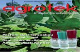 Edisi Juli 2017 Suplemen Majalah SAINS Indonesiabpatp.litbang.pertanian.go.id/balaipatp/assets/upload/download/... · dengan mengekstrak minyak atsiri buah dan bunga yang memiliki