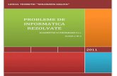 PROBLEME DE INFORMATICA REZOLVATE - …solomonhalita.ro/catalog/CULEGERE INFORMATICA.pdf · 2011 probleme de informatica rezolvate algoritm si program c++ clasa a ix‐a liceul teoretic