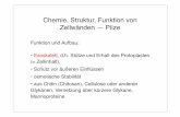 Chemie, Struktur, Funktion von Zellwänden — Pilzeuser.uni-frankfurt.de/~dingerma/Podcast/CytologieWS10_8.pdf · Chemie, Struktur, Funktion von Zellwänden — Pilze Cellulose: