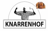 Scheiden Wonen & Zorg: het Perspectief van de Klant …zorgbelang-zuidholland.nl/uploads/editor/Knarrenhof.pdf · Zijspoor Sprookje Benchmark Zorg vs Vastgoed Gebasserd op gevoel