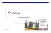 AP Lab Review - AP Biology - Explore Biologyexplorebiology.com/documents/76LabReview.pdf · AP Biology 2004-2005 Lab 1: Diffusion & Osmosis Description dialysis tubing filled with