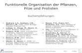 Funktionelle Organisation der Pflanzen, Pilze und · PDF file• Weiler, E., Nover, L. 2008, 11. Auflage. Allgemeine und molekulare Botanik. Thieme Verlag ... 2006, Biologie der Pflanzen.