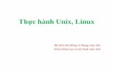 Thực hành Unix, Linux - cse.hcmut.edu.vnhungnq/courses/os/CT09QUEE/LAB/OSLab1.… · Các lệnh cơ bản •Một lệnh *nix cơ bản có định dạng như sau