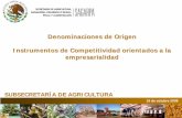Denominaciones de Origen Instrumentos de Competitividad ... · PDF filedel Café ; é Chiapas, A.C. Café Veracruz; NOM; NOM--149-SCFI-20072007. Consejo Regulador del Café 3; Mango