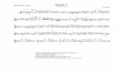 Flute/Piccolo Etude 1 - Wikispaces · PDF fileEtude 1 Getchell Flute/Piccolo To give yourself the best possible audition experience: • start your preparation early • express yourself