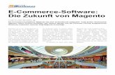 E-Commerce-Software: Die Zukunft von Magentocs.netz98.de/ibusiness_zukunft-von-magento.pdf · Cloud, Business Intelligence, Data und B2B im Fokus Qualitäten in einer enormen Anwen