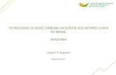 TECNOLOGIAS DE BAIXO CARBONO APLICÁVEIS AOS  · PDF filetecnologias de baixo carbono aplicÁveis aos setores-chave do brasil indÚstria larissa p. p. nogueira março de 2015