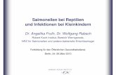Salmonellen bei Reptilien und Infektionen bei Kleinkindern ... · PDF fileSalmonellen bei Reptilien und Infektionen bei Kleinkindern Dr. Angelika Fruth, Dr. Wolfgang Rabsch Robert