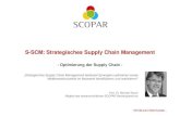 S-SCM: Strategisches Supply Chain Management - · PDF fileStudien-Schwerpunktsleiter für den Studiengang Supply Chain Management Mitglied des wissenschaftlichen SCOPAR-Beratergremiums