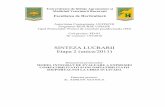 SINTEZA LUCRARII Etapa 2 (u nica/2011) · PDF fileincompatibilitatii de altoire la cires 1. Evaluarea potentialului morfo-productiv la soiurile de cires altoite pe diferiti portaltoi